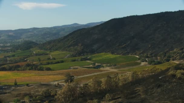 Vista Aérea California Quemado Quemado Valle Napa Colina Agricultura Viñedos — Vídeos de Stock