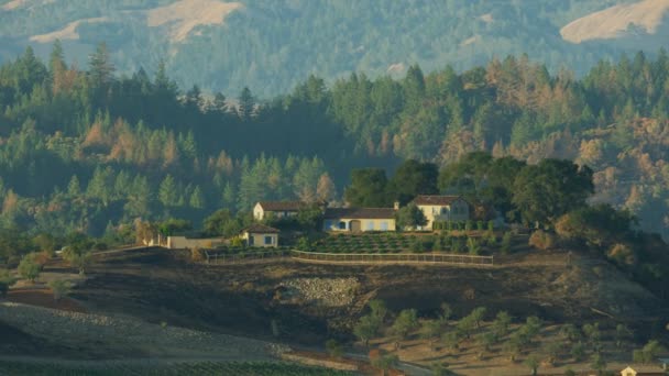 高級分離丘の中腹の家から地域の山火事カリフォルニア アメリカのコミュニティの避難後に壊滅的な破壊から免れる空撮 — ストック動画