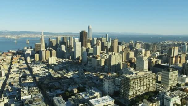 Aerial Metropolis City View Downtown Financial District Transamerica Pyramid Skyscraper — Stock Video