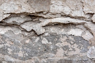 Tasarım için moss ile Taş dokusu. Afiş ve tasarım için moss ile gri taş duvar fotoğrafı. Tasarımlar için dokular