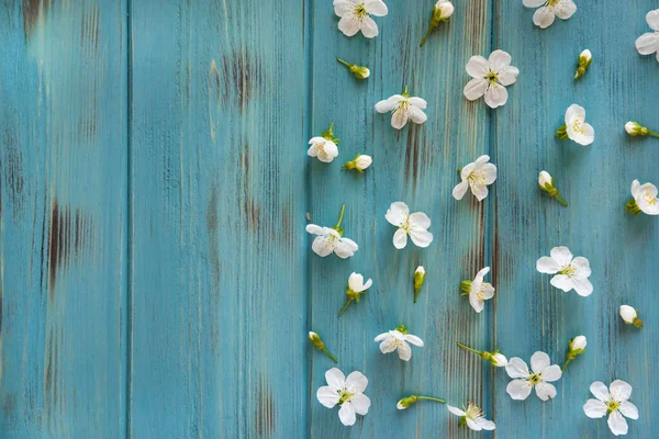 Cherry flowers on a blue wooden background. Spring pattern on aged background. View from above. Background for banner, blog post. Frame for greeting card with spring flowers. — Zdjęcie stockowe