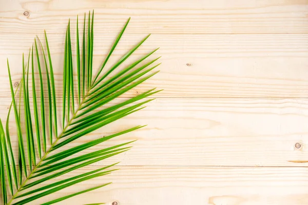 Closeup palm leaf on wooden background. Frame for banner, greeting card, special offer, tourist tour. View from above — Stockfoto