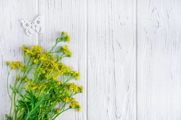 Wildblumen von gelber Farbe mit einem Platz für eine Inschrift auf hellem Holzgrund. Grußkarte mit Wildblumen. Grußbanner-Vorlage. flache Lage, Draufsicht. — Stockfoto