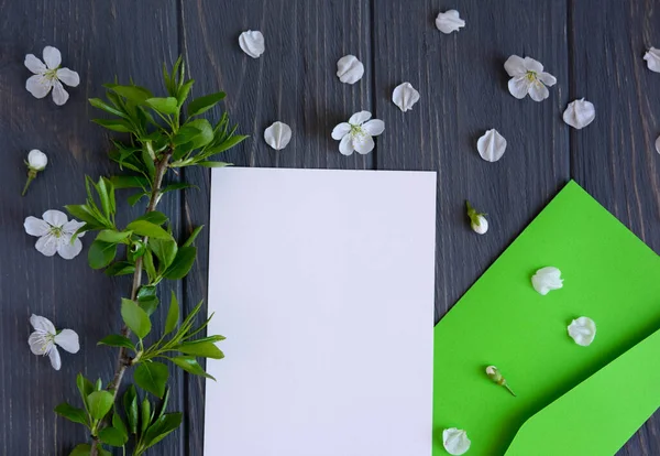 Макет з поштовим конвертом і абрикосовими квітами на сірому дерев'яному тлі. Весняна рамка для тексту. Плоский прошарок, вид зверху — стокове фото