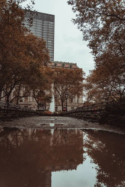 Regendag Central Park Manhattan New York Verenigde Staten — Stockfoto