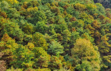 Kore 'de sonbahar dağları ve orman