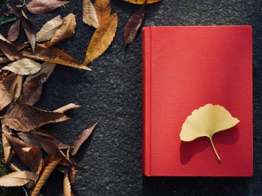 Kitaplar ve sonbahar akçaağaç yaprakları, Ginkgo yaprakları, düşmüş yapraklar.