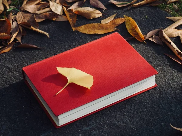 Books and autumn maple leaves, Ginkgo leaves, fallen leaves