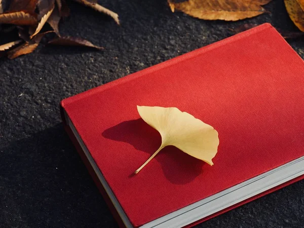 Books and autumn maple leaves, Ginkgo leaves, fallen leaves