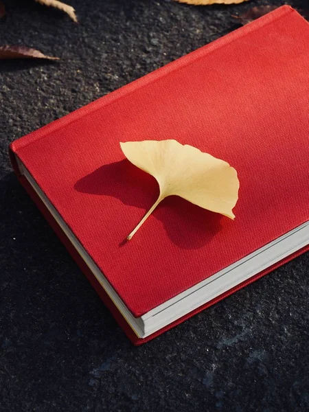Books and autumn maple leaves, Ginkgo leaves, fallen leaves