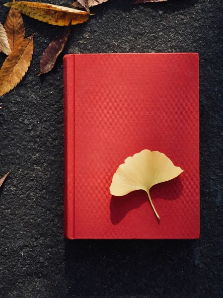 Books and autumn maple leaves, Ginkgo leaves, fallen leaves