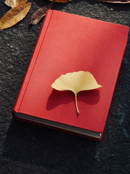 Böcker Och Höst Lönnlöv Ginkgo Blad Fallna Blad — Stockfoto