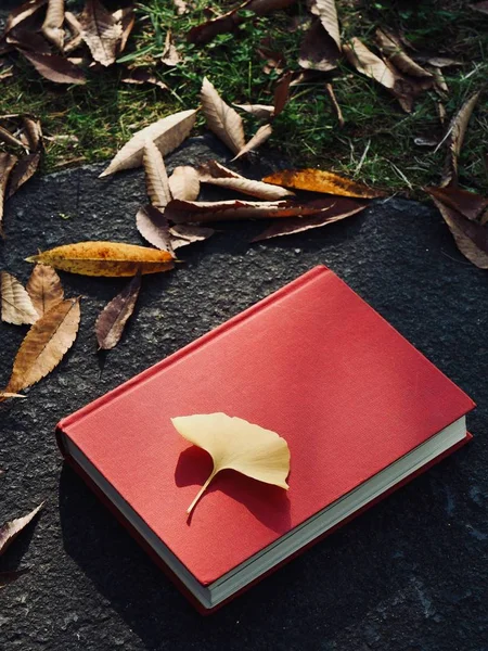 Böcker Och Höst Lönnlöv Ginkgo Blad Fallna Blad — Stockfoto