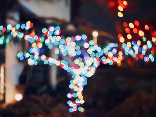 Árbol Navidad Luces Enfoque Noche — Foto de Stock