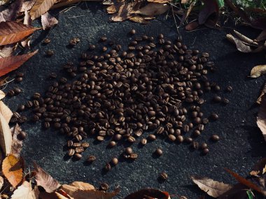 Kavrulmuş kahve çekirdekleri ve düşmüş yapraklar.