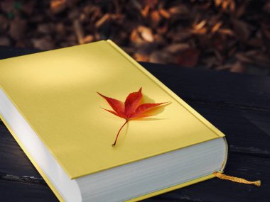 Sarı kitap ve sonbahar akçaağaç yaprakları