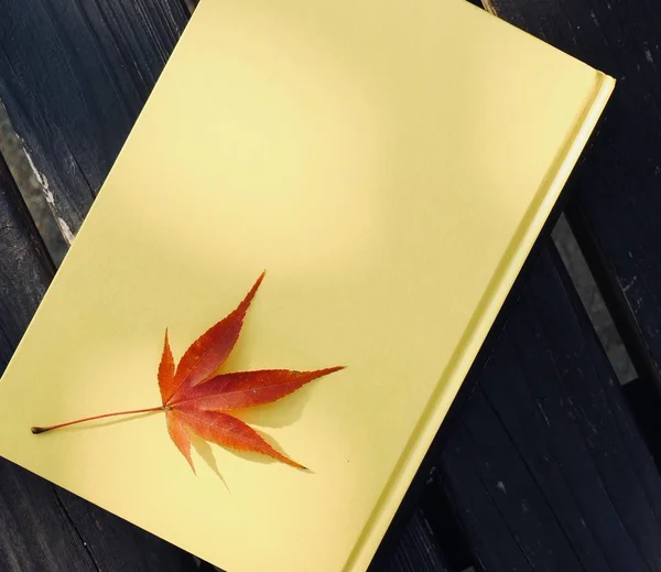 Yellow Book Autumn Maple Leaves — Stock Photo, Image