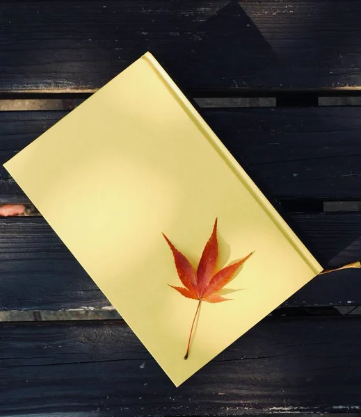 Yellow book and autumn maple leaves