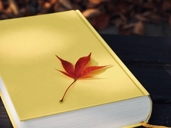 Żółta Księga Jesienne Liście Klonu — Zdjęcie stockowe