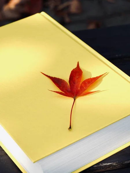 Yellow Book Autumn Maple Leaves — Stock Photo, Image