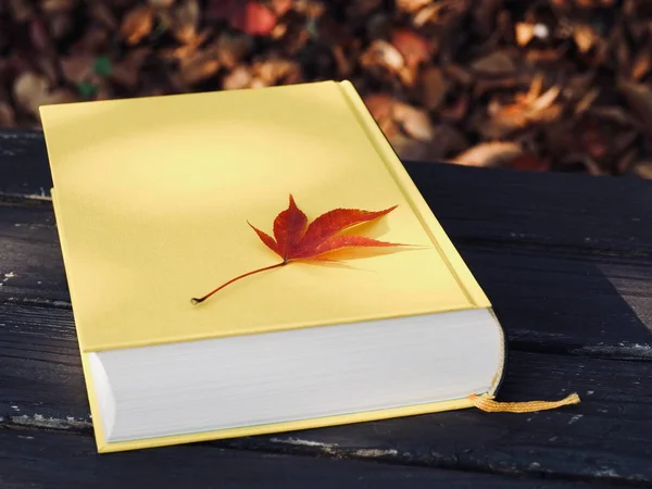 Yellow book and autumn maple leaves