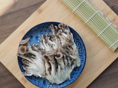 Taze organik mantar, İstiridye mantarı