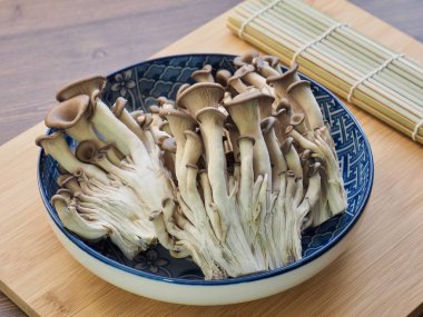 Taze organik mantar, İstiridye mantarı