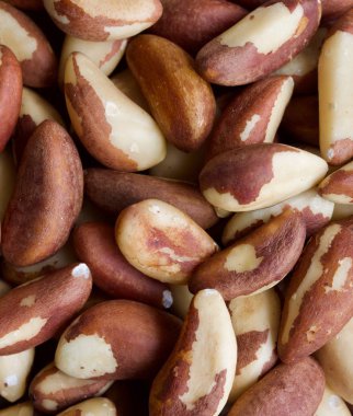 Brezilya fıstığı ahşap kurullarında