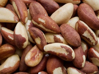 Brezilya fıstığı ahşap kurullarında