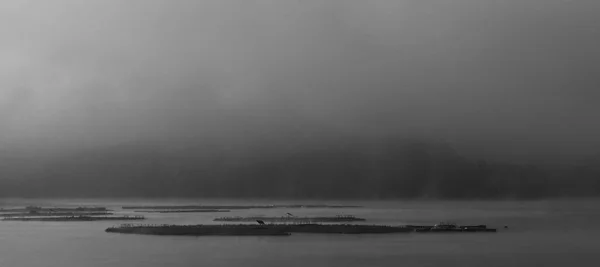 Corea Cheongju City Daecheong Lake Mañana Paisajes Niebla Agua Fotografía —  Fotos de Stock