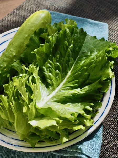 Korean Fresh Organic Vegetable Lettuce Cucumber — Stock fotografie