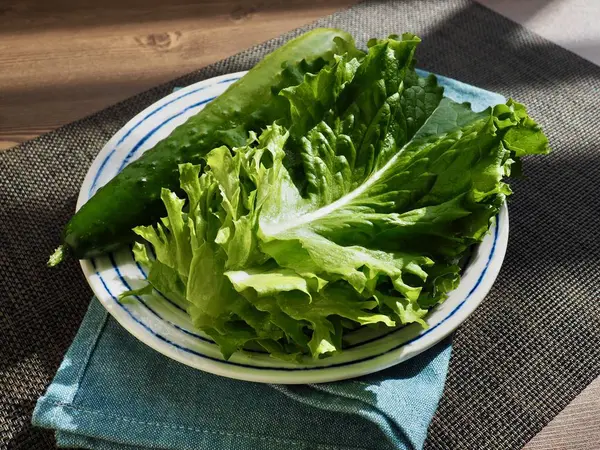 Lechuga Pepino Verduras Orgánicas Frescas Coreanas — Foto de Stock