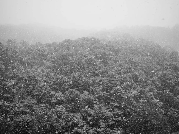 Paesaggio Montano Invernale Nevoso Corea Fotografia Monocromatica — Foto Stock