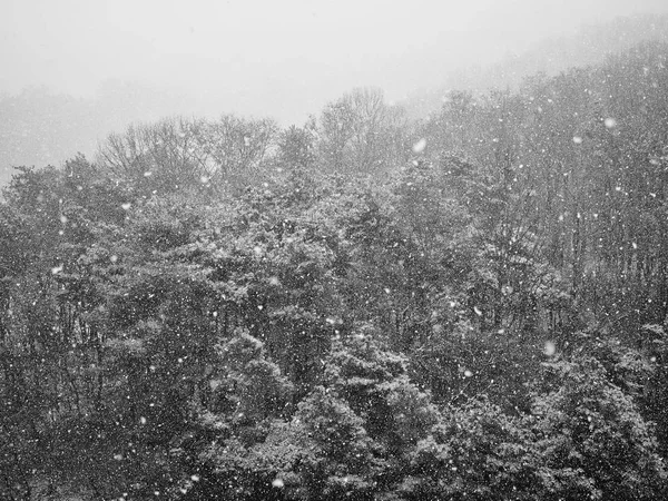 Verschneite Winterberglandschaft Korea Monochrom Fotografie — Stockfoto