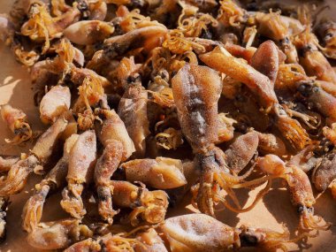 Asya 'nın kurutulmuş küçük mürekkep balığı, Loliginidae Lesueur.