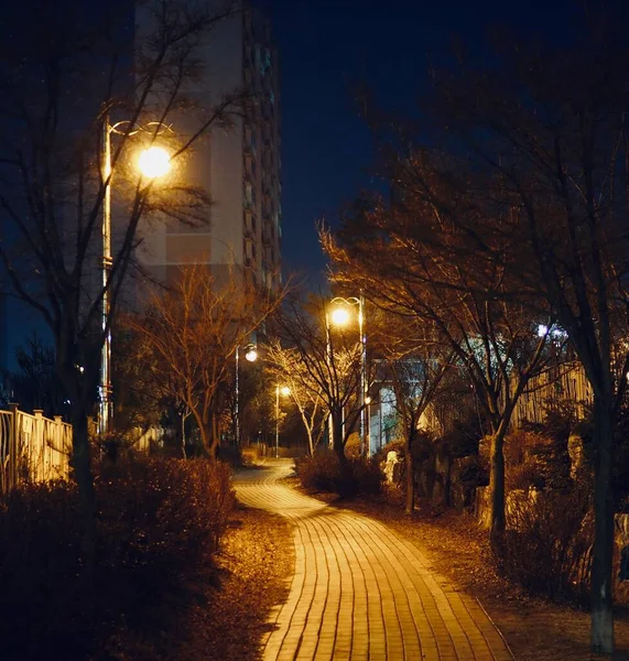 韩国夜间街道和路灯 — 图库照片