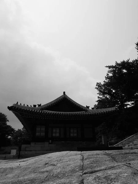 Koreański Pałac Tradycyjny Changgyeonggung Budynek Tradycyjny Monochromatyczna Fotografia — Zdjęcie stockowe