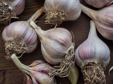 Kore Taze Organik Sebze Sarımsak arka planı