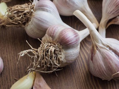 Kore Taze Organik Sebze Sarımsak arka planı