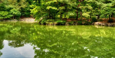 Kore Changgyeonggung Chundangji, Gölet ve Orman