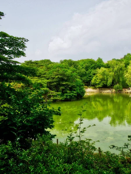 Koreanska Changgyeonggung Chundangji Pond Och Skog — Stockfoto