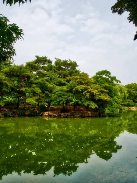 Koreanska Changgyeonggung Chundangji Pond Och Skog — Stockfoto