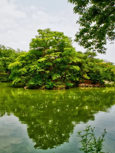 Korean Changgyeonggung Chundangji Pond Forest — Stock Photo, Image