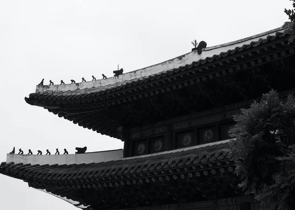 Korejský Tradiční Palác Changdeok Palace Černobílá Fotografie — Stock fotografie