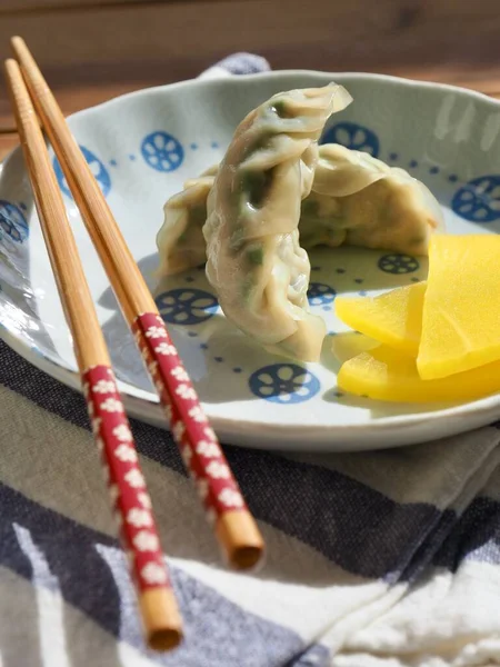 亚洲食品饺子 饺子和肉饺子 — 图库照片