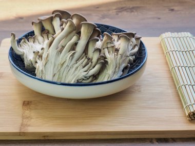 Taze organik mantar, İstiridye mantarı