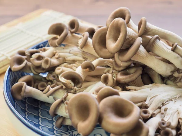 Fresh Organic Mushroom Oyster Mushroom — Stock Photo, Image