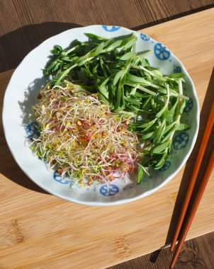 Taze filiz ve Sedum sarmentosum salatası.