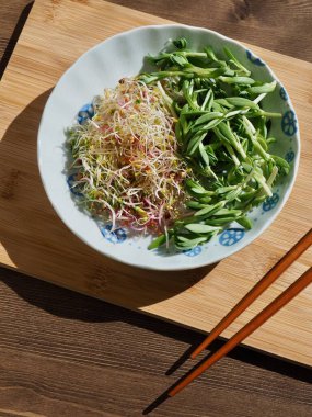 Taze filiz ve Sedum sarmentosum salatası.