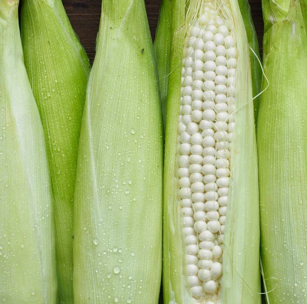 Korea Fresh Organic Corn Background — Stock Photo, Image